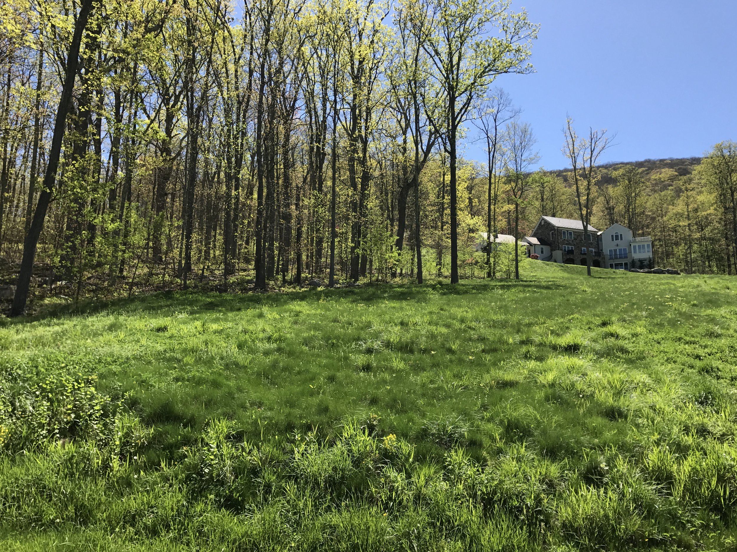 Summertime View to Lot