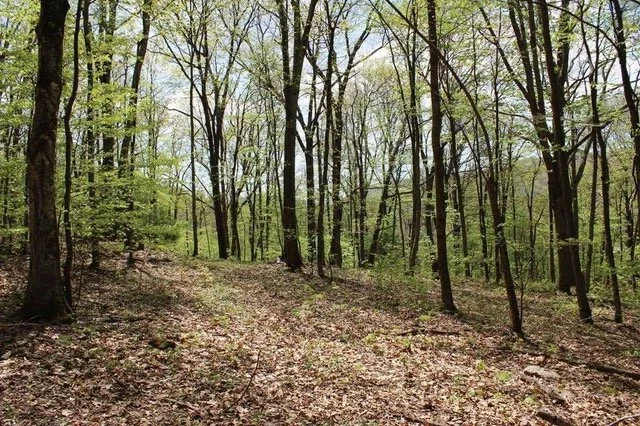 Lot #12, Old Dairy, in The Homestead Preserve