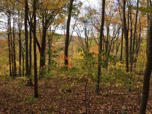 Autumn on Lot 12