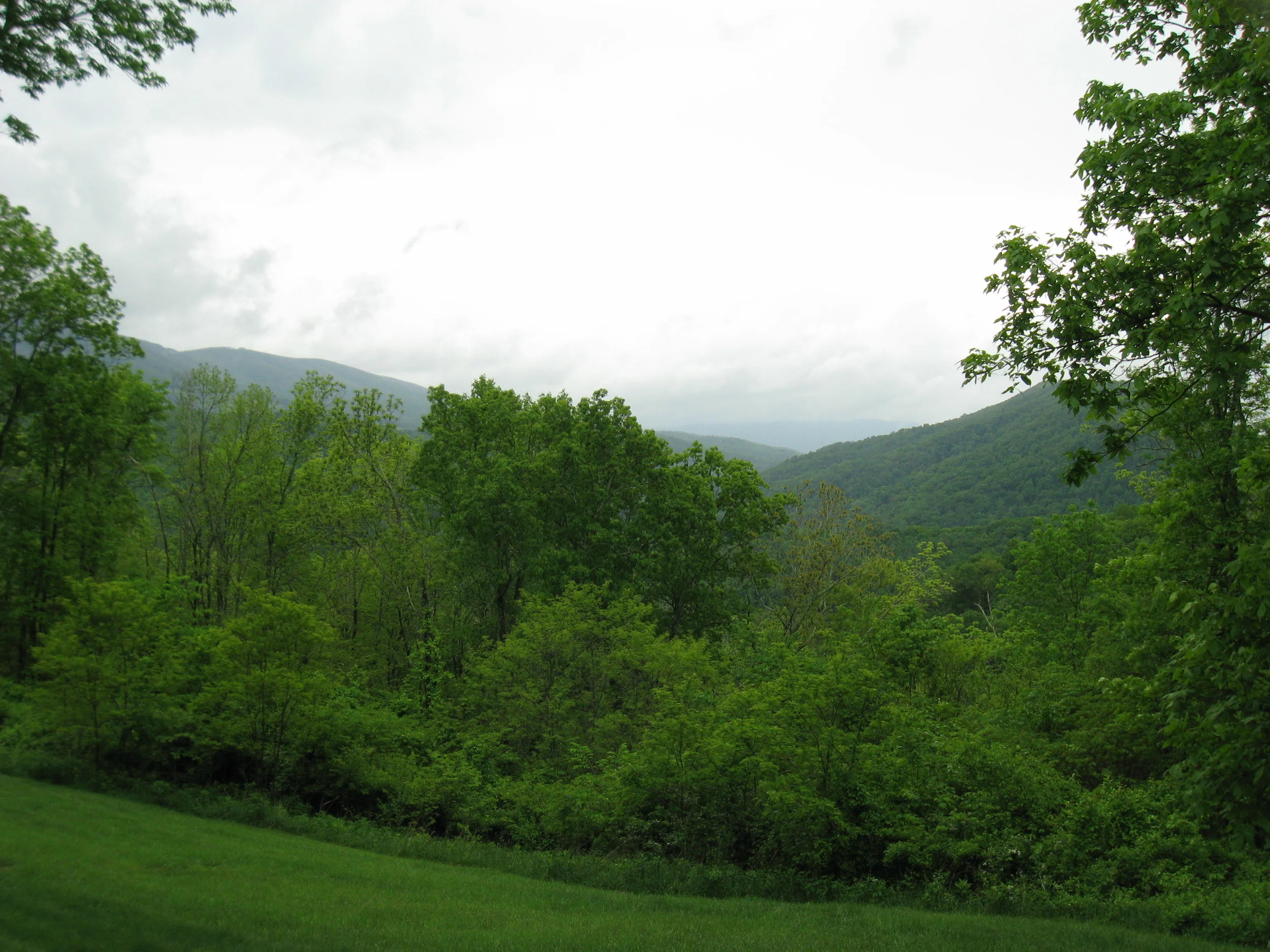Westerly View of the Mountains 09.jpg