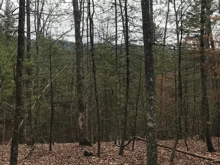 TBD Barber Road - 10.4 Wooded Acres South of Hot Springs