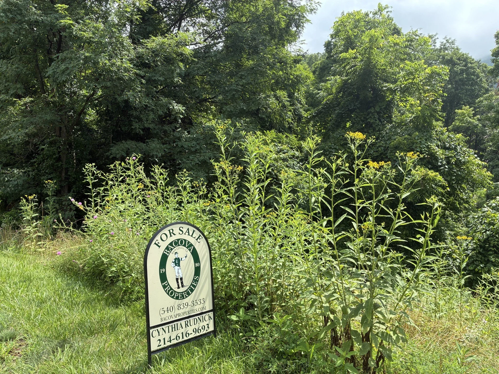 Lot #41, Sheep Meadow, in The Preserve