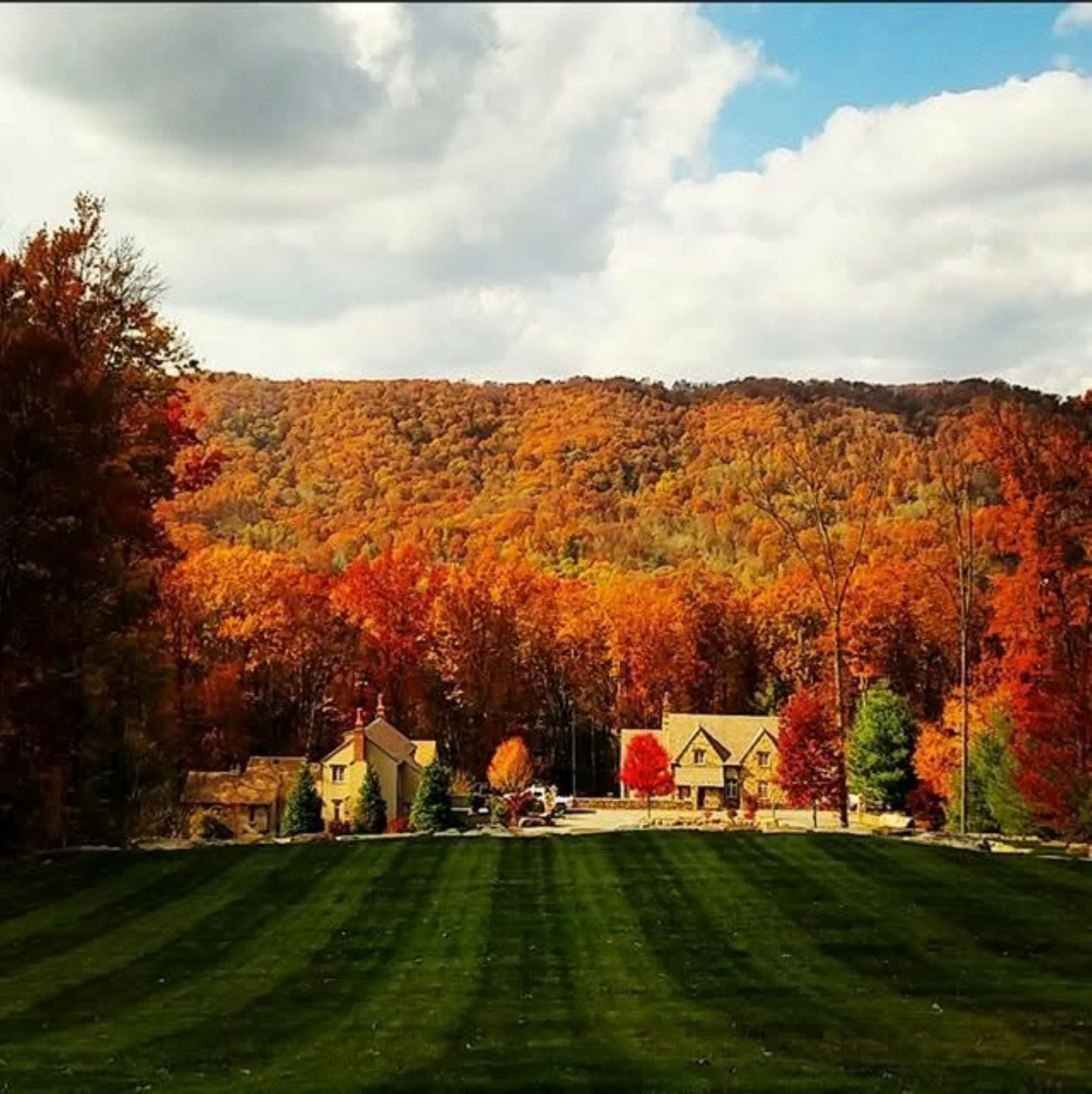 Shepherd's Trail from the Heath in the fall!!! 2MB.JPG