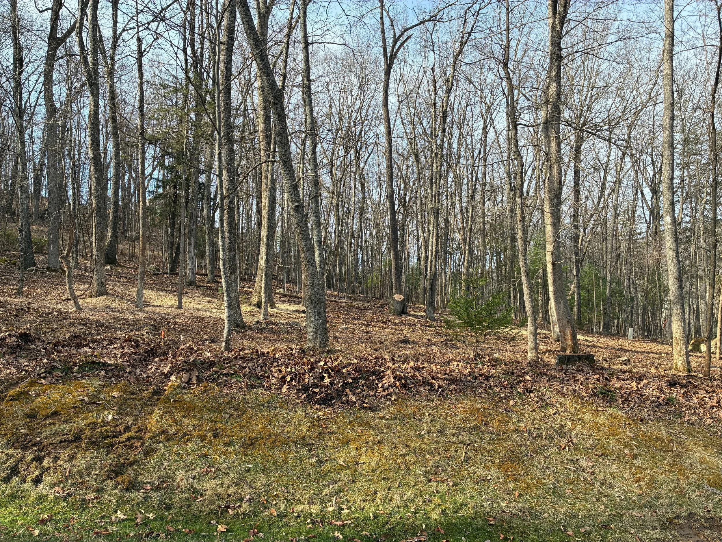 Lot #50 Sheep Meadow Donald Ross Trail