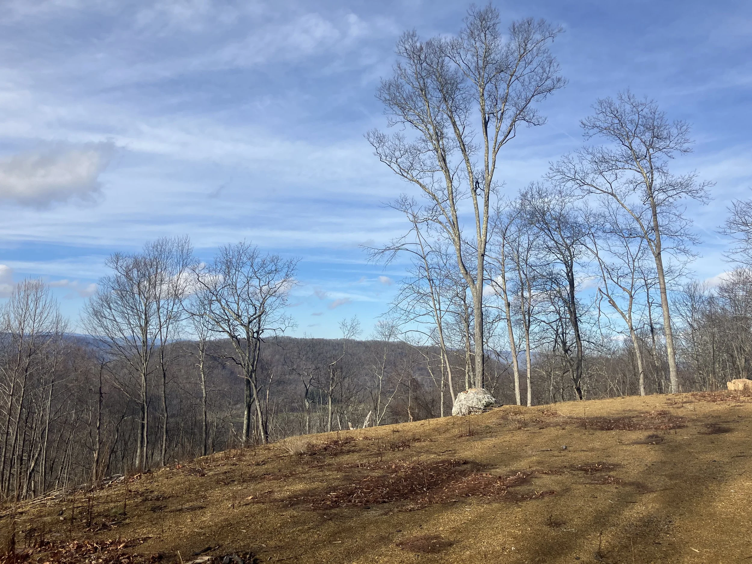 Lot #36, Delafield Rise, in The Homestead Preserve