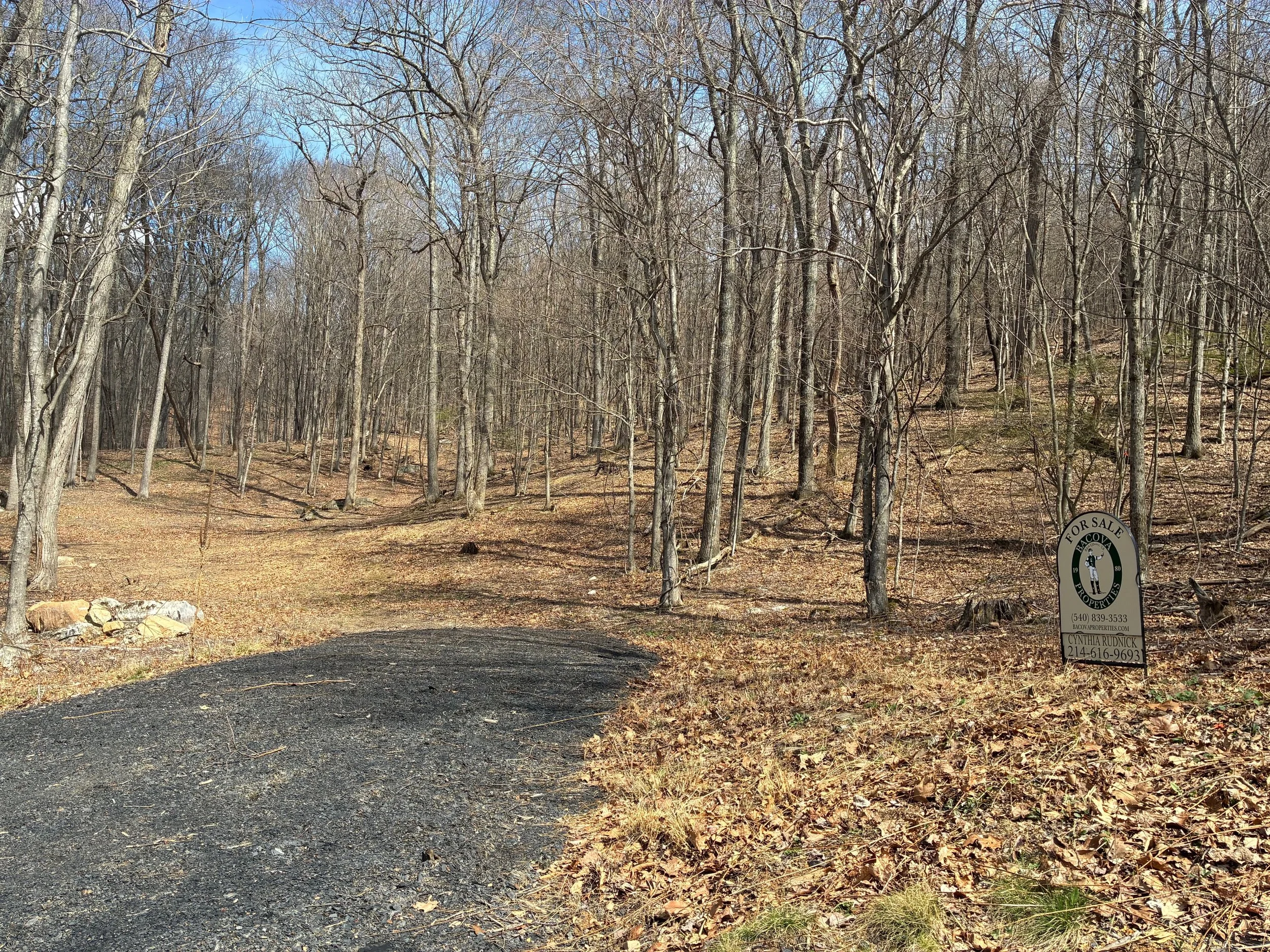 Lot #101, Sheep Meadow, in The Preserve