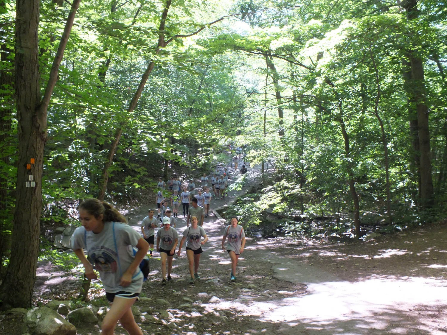 DSCF4056.jpg