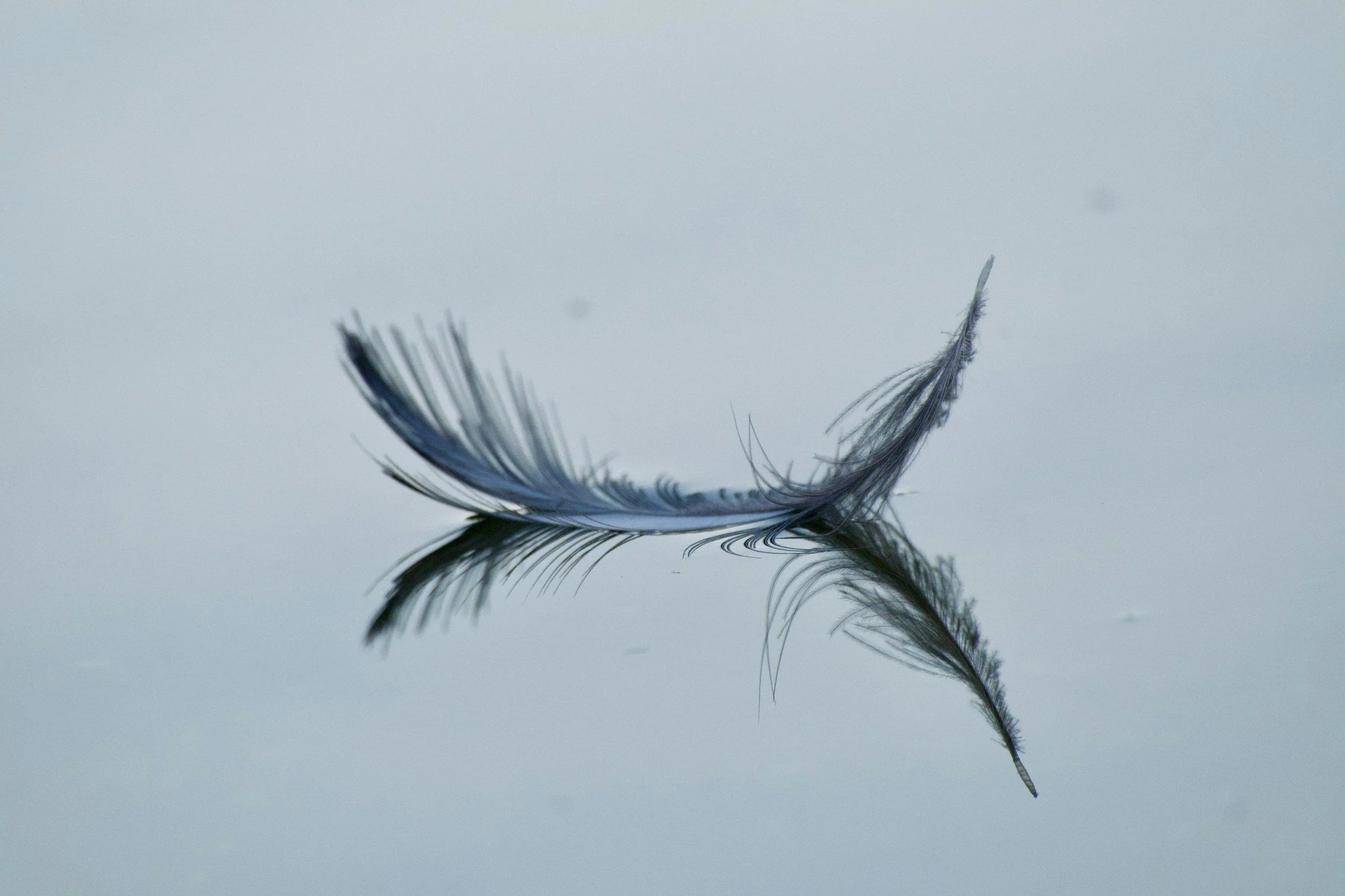 Nothing to Add (Letting It Land)