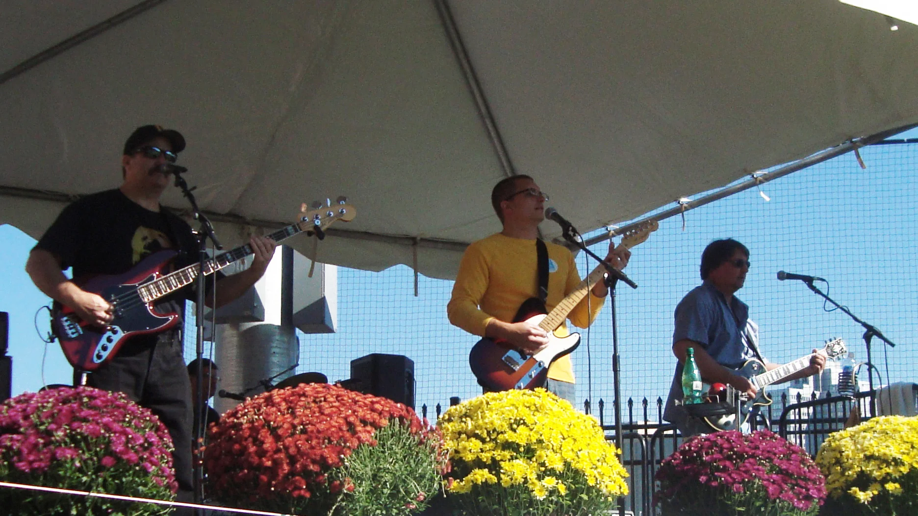  Alexis Festival in Wexford