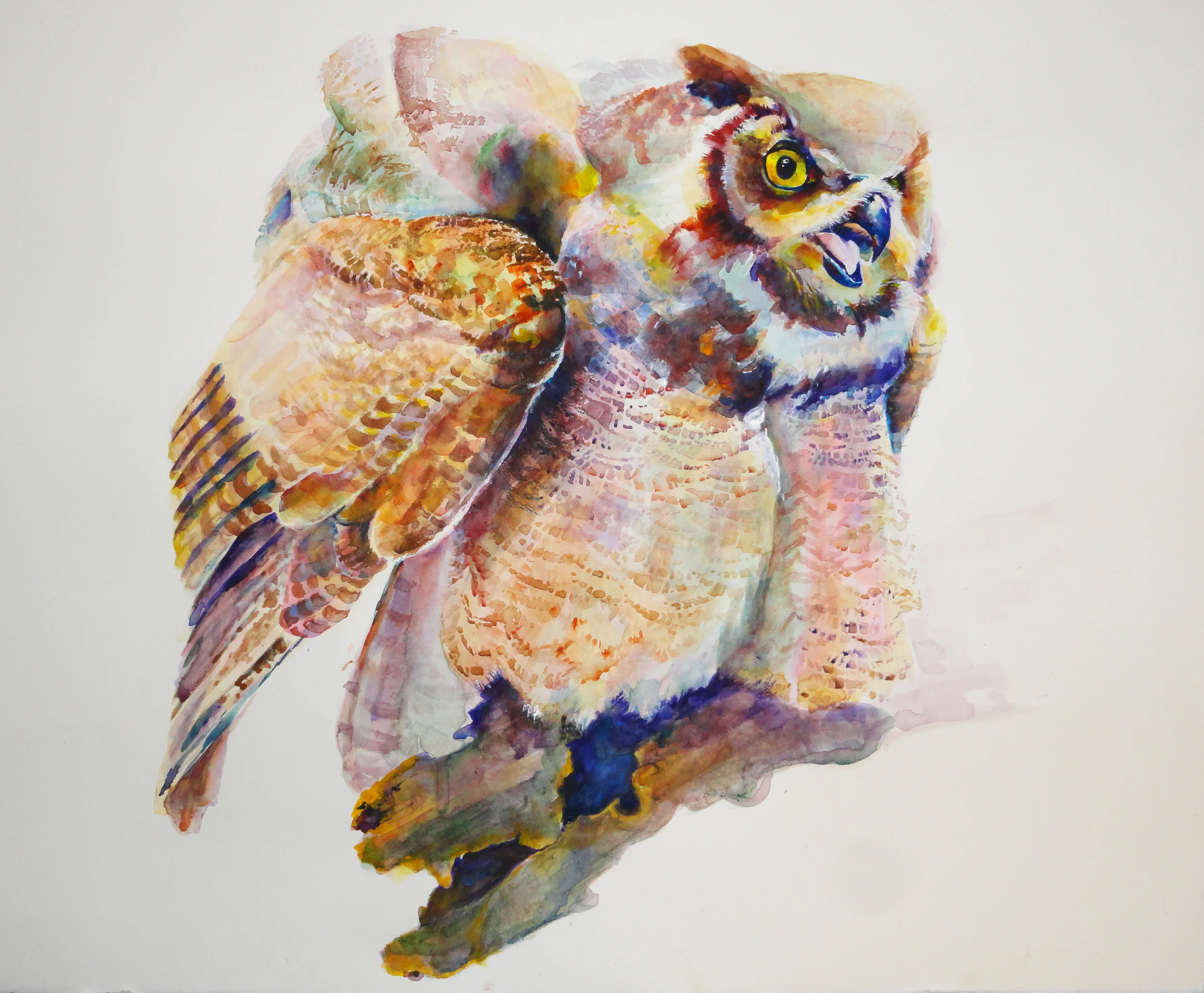 Great Horned Owl