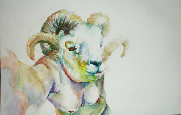 Baa Ram Yew
