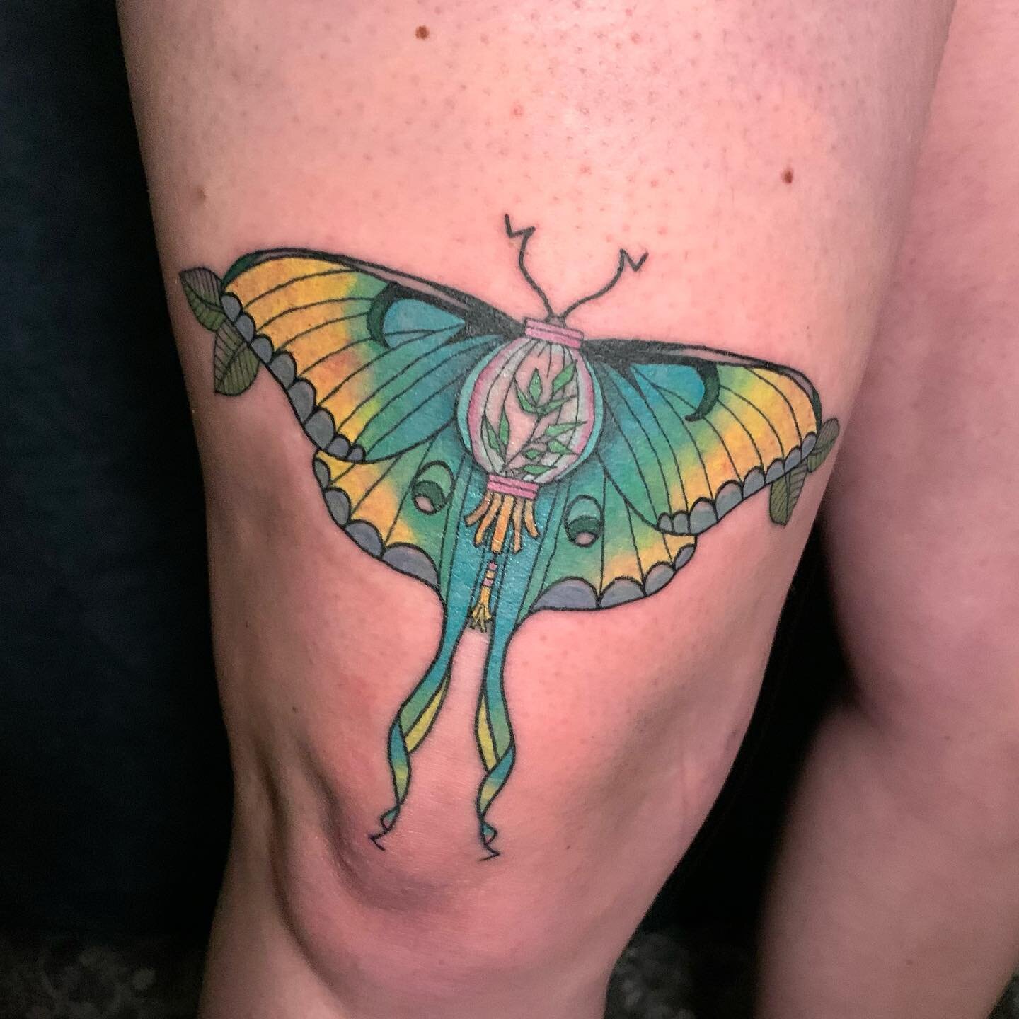 Chinese lantern luna moth 🦋Huge thanks to @kate.mcdougall_ ! 
.
.
.
#lunamoth#moth#chineselantern#neotraditional#neotrad#neotraditionaltattoo#trad#tattoo#drawing#sketch#sketching#sketchbook#art#tattoos#apprentice#apprenticetattoo#rollingtattoo#uw#wy