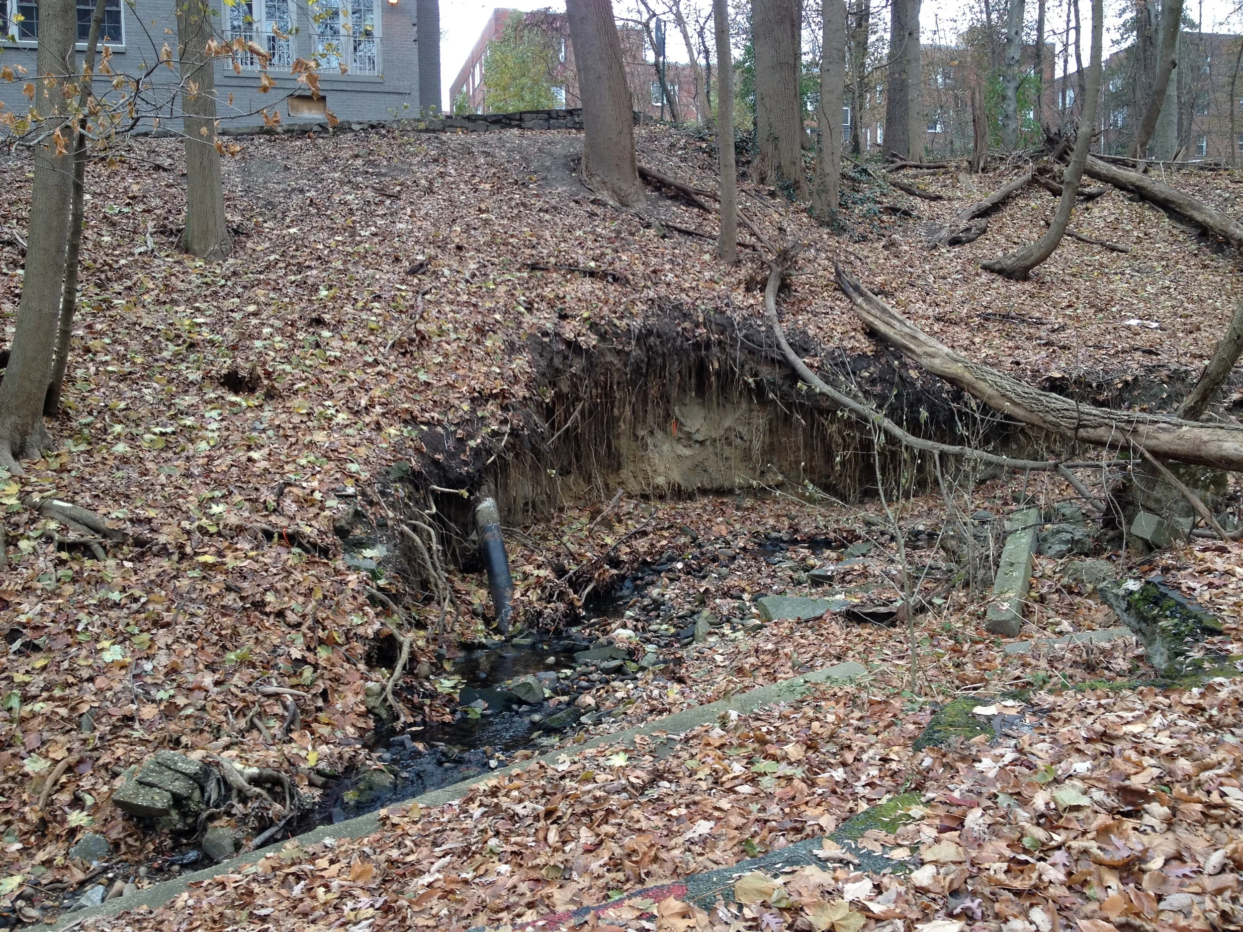 Exposed gas line crossing Klingle Creek - December 2014
