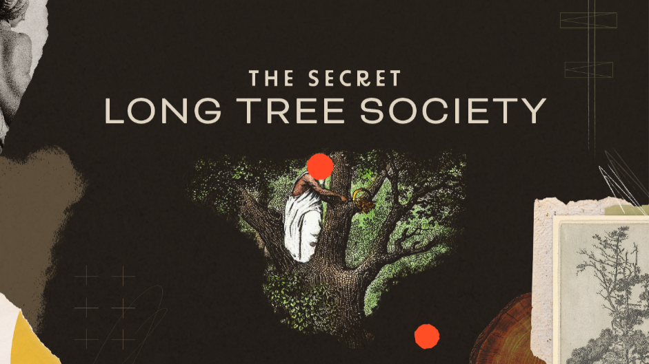The Secret Long Tree Society - TRAILER