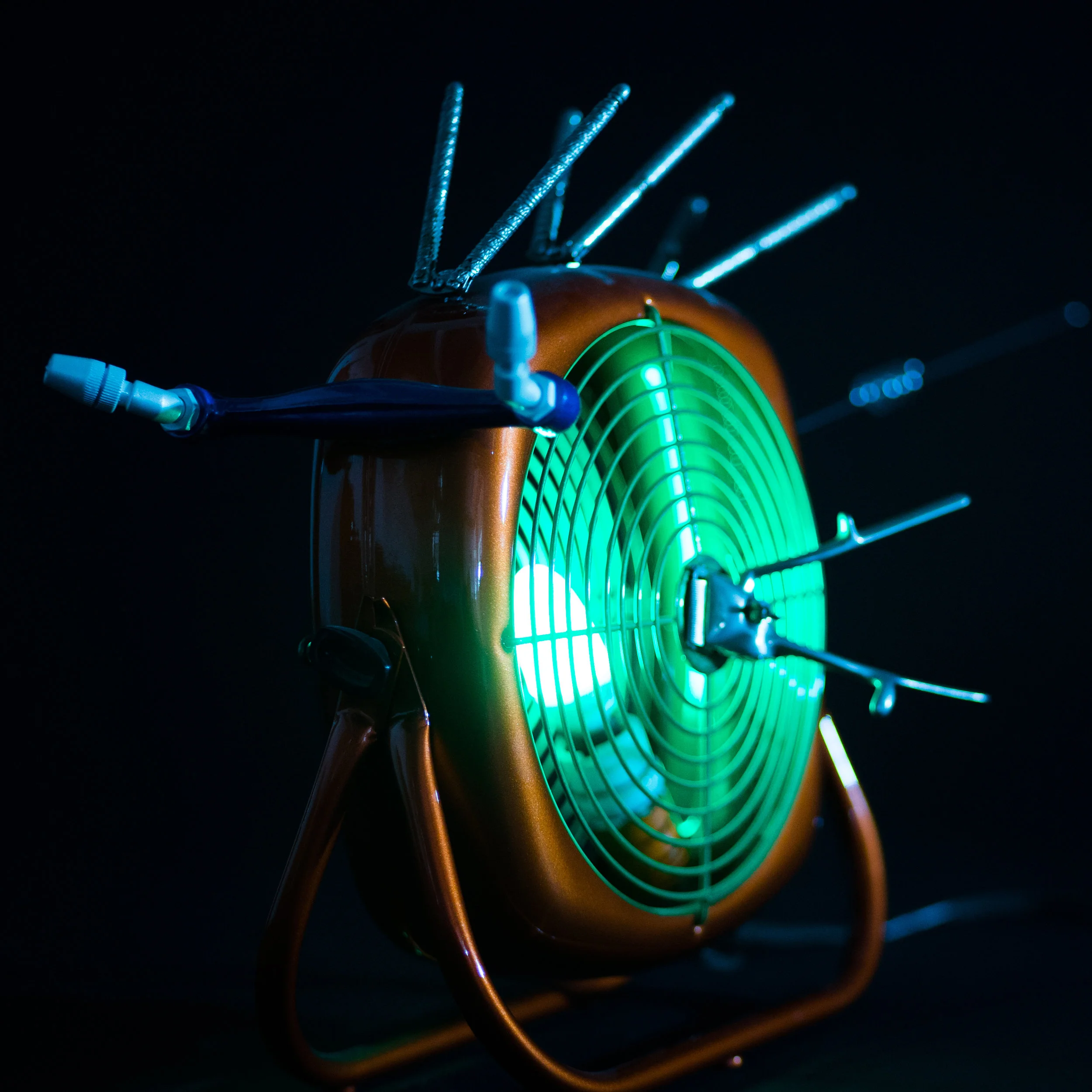 Nucleus Fissura - Nut Cracker.jpg