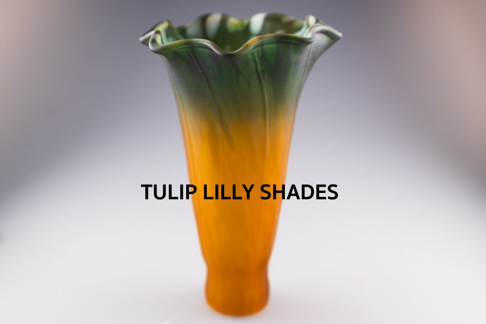 Tulip / Lilly Shades