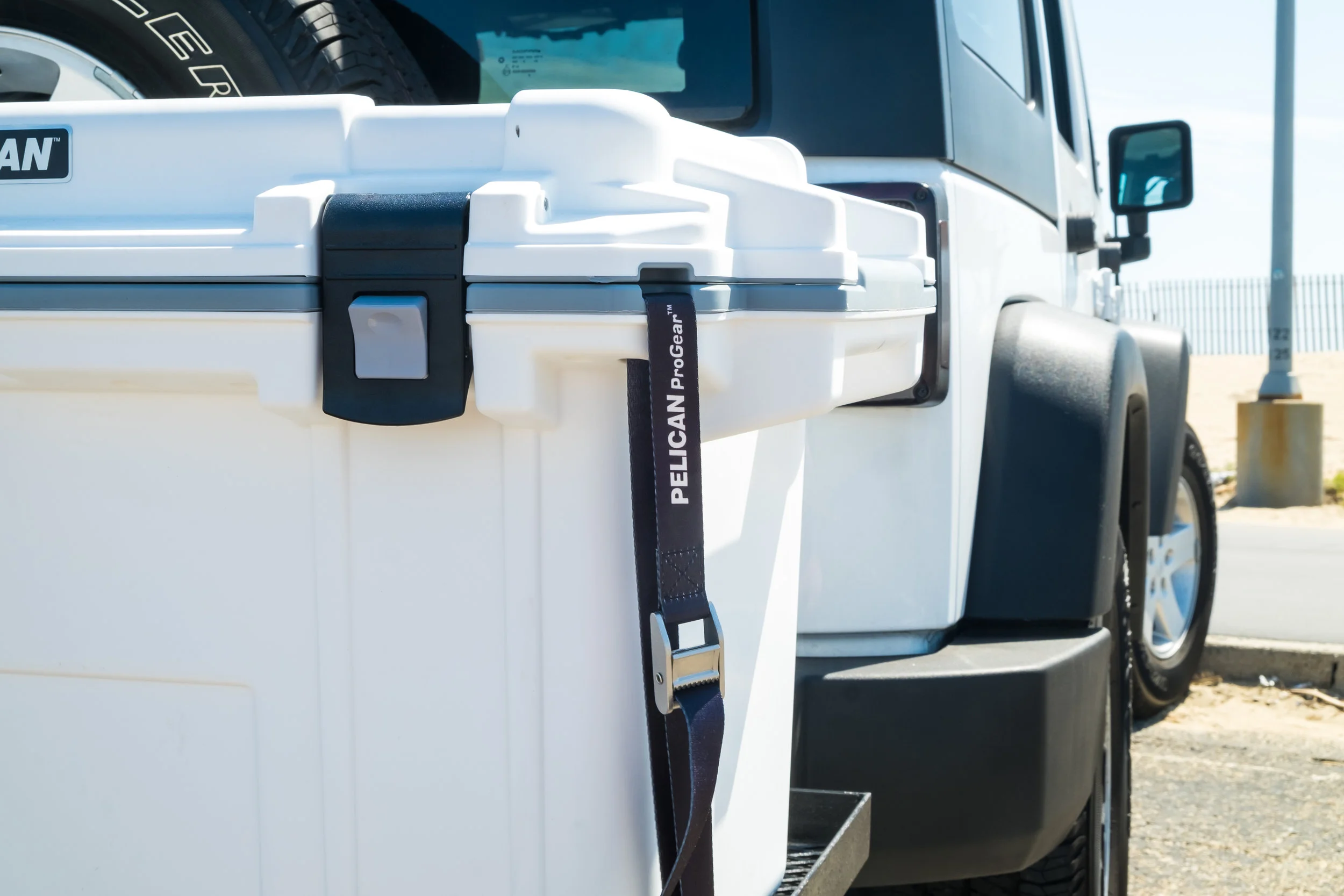 pelican_straps-6268.jpg