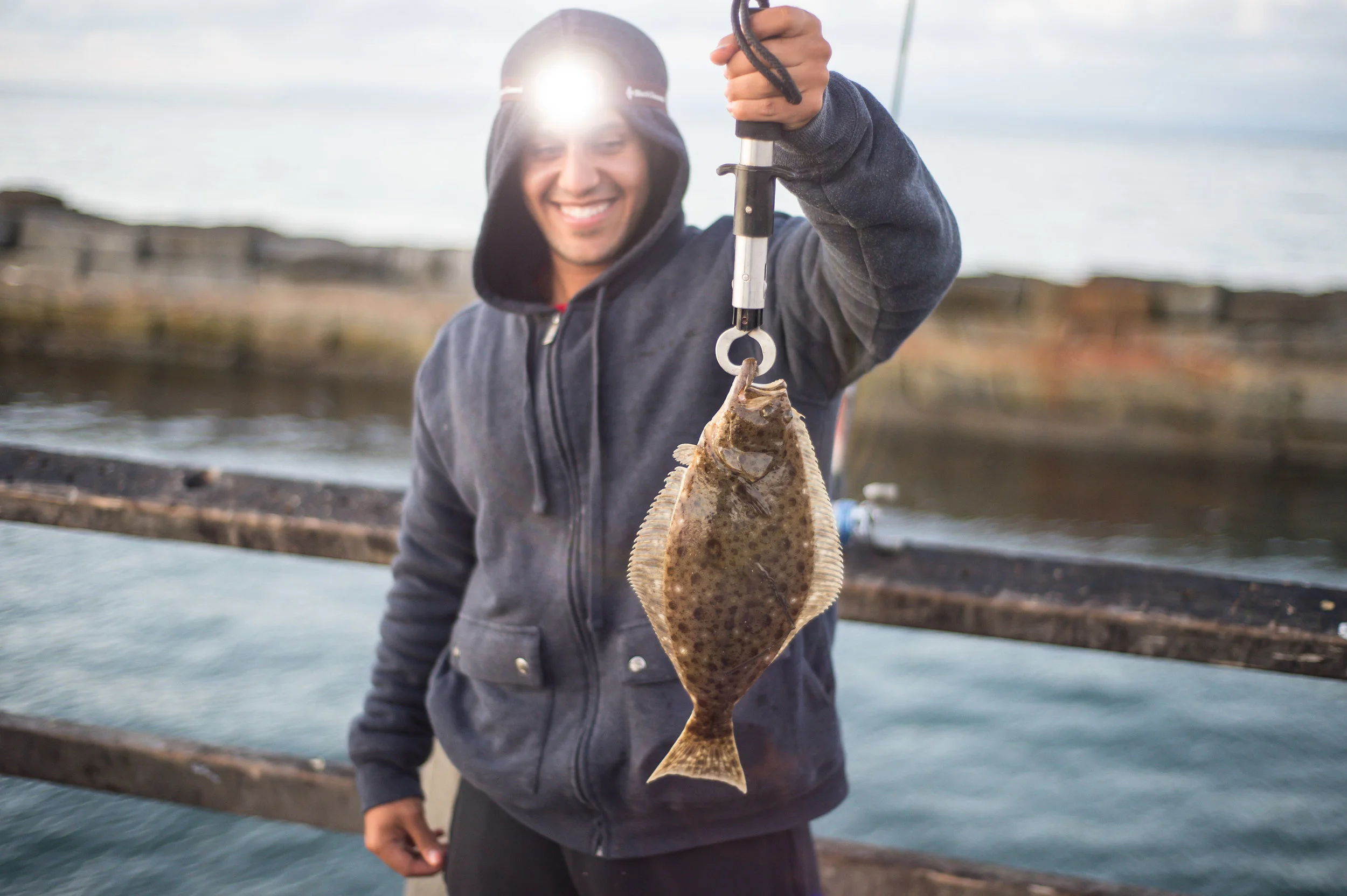 Omar's Halibut
