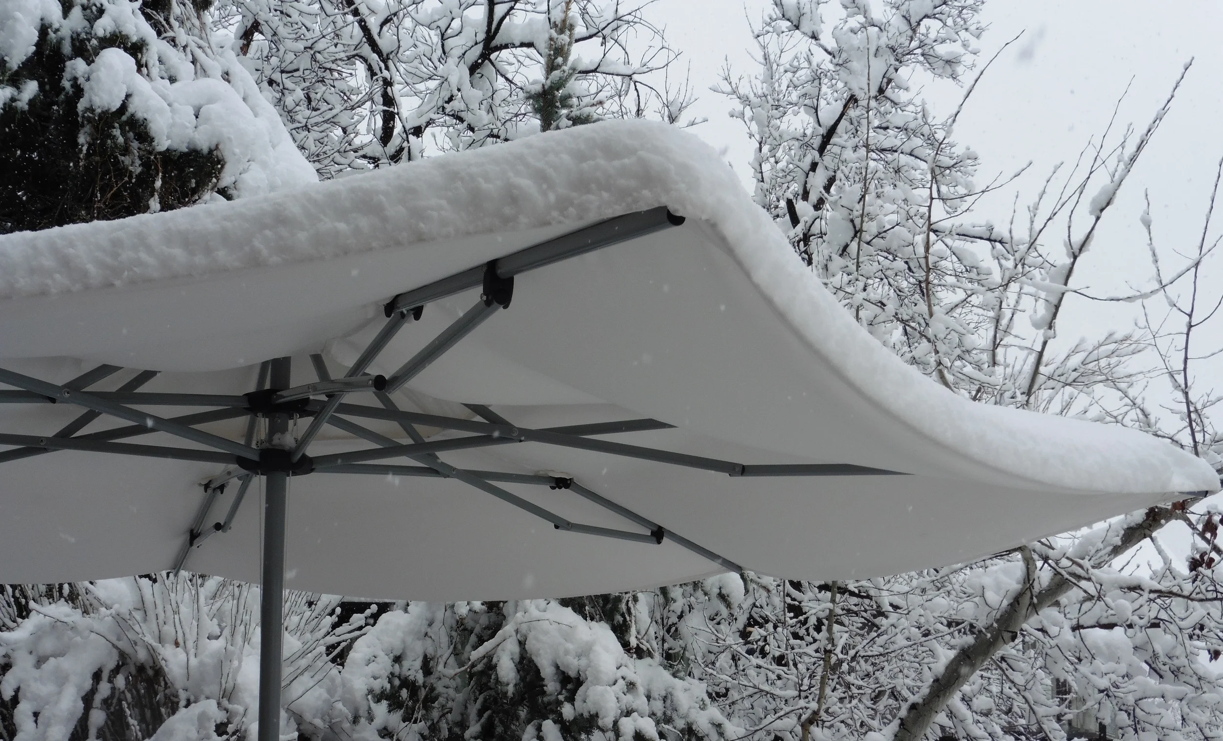 partial 13fthex w snow.JPG