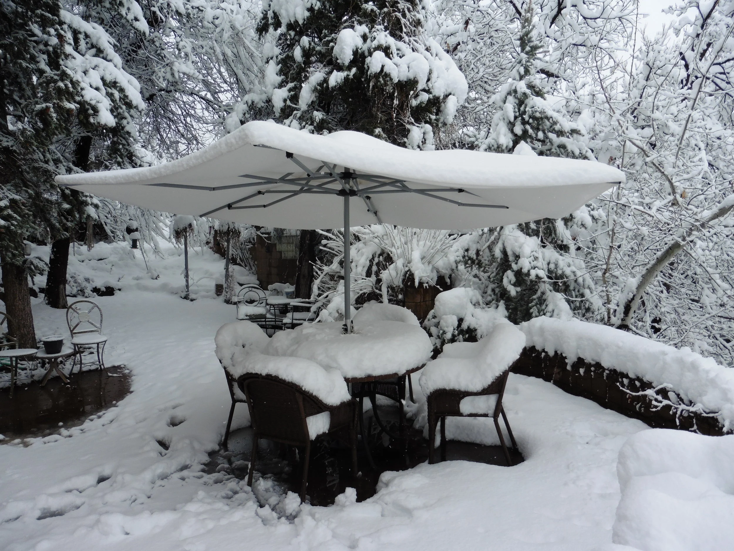 Open Snow Full Table.JPG