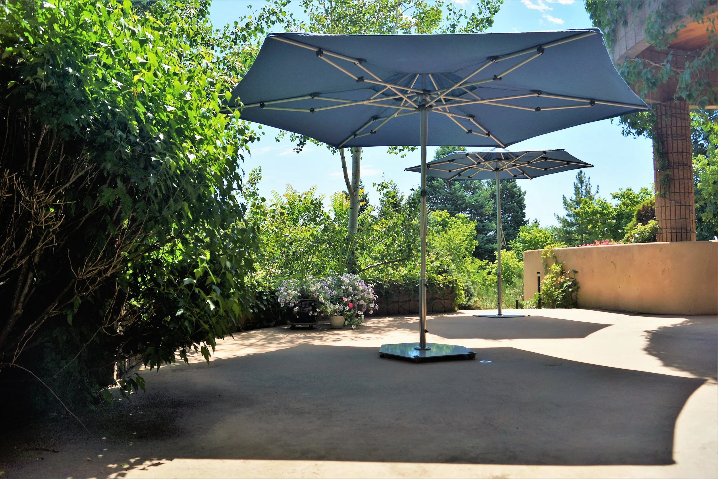 Sapphire Blue on Frame