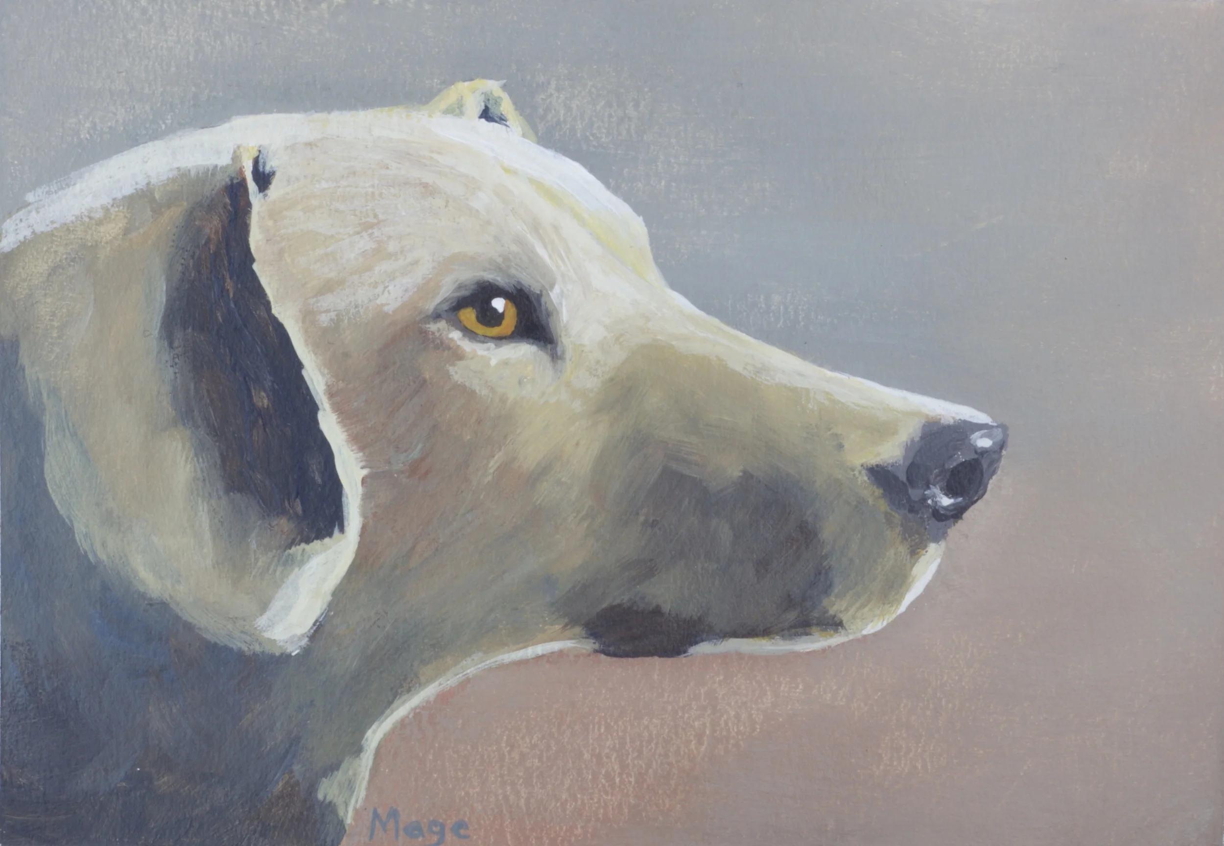 Dog Portrait #1 (2016)