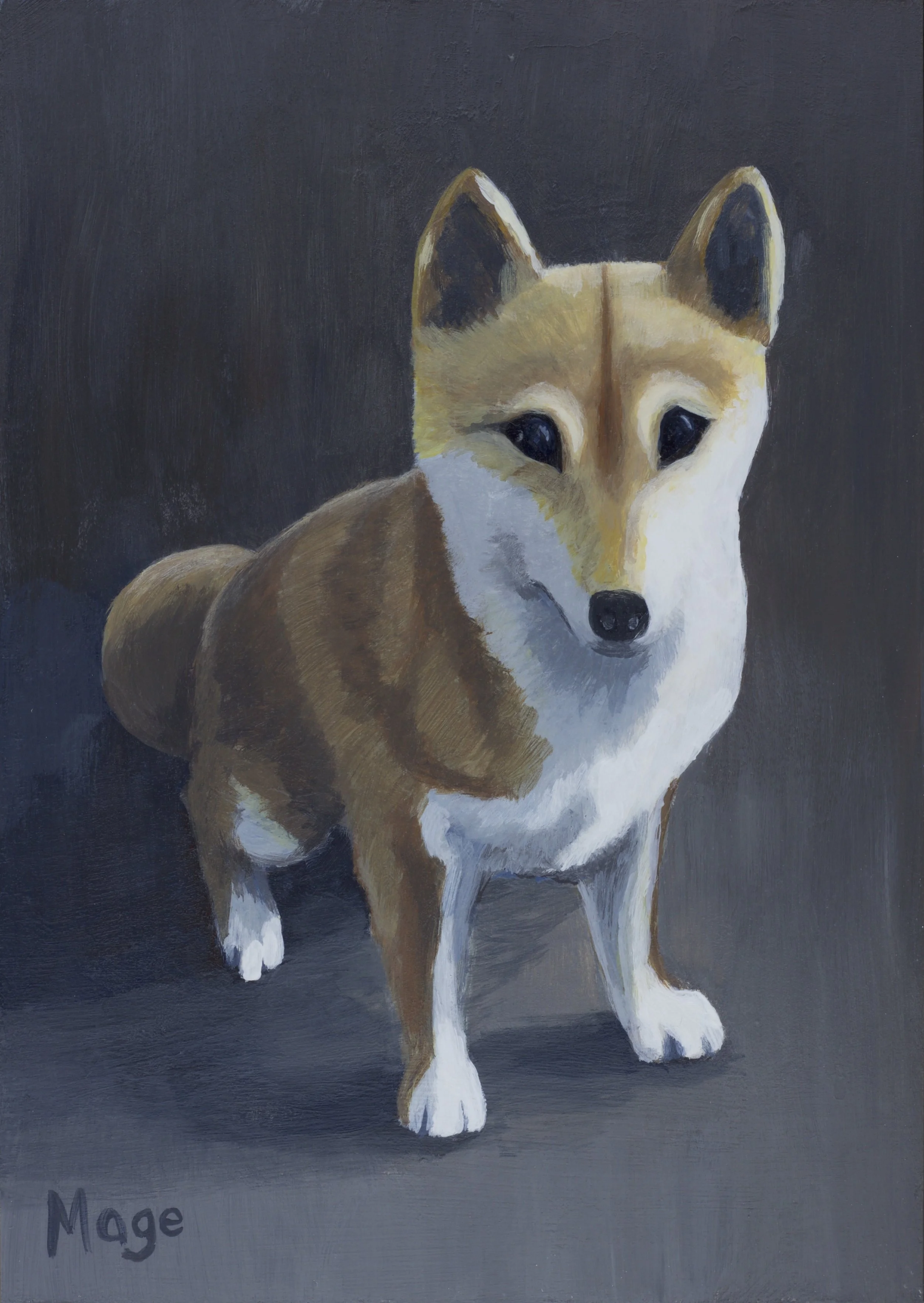 Rush - A Shiba Inu Portrait (2016)