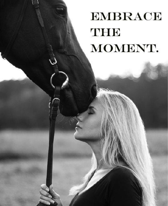 Horse Picture.png