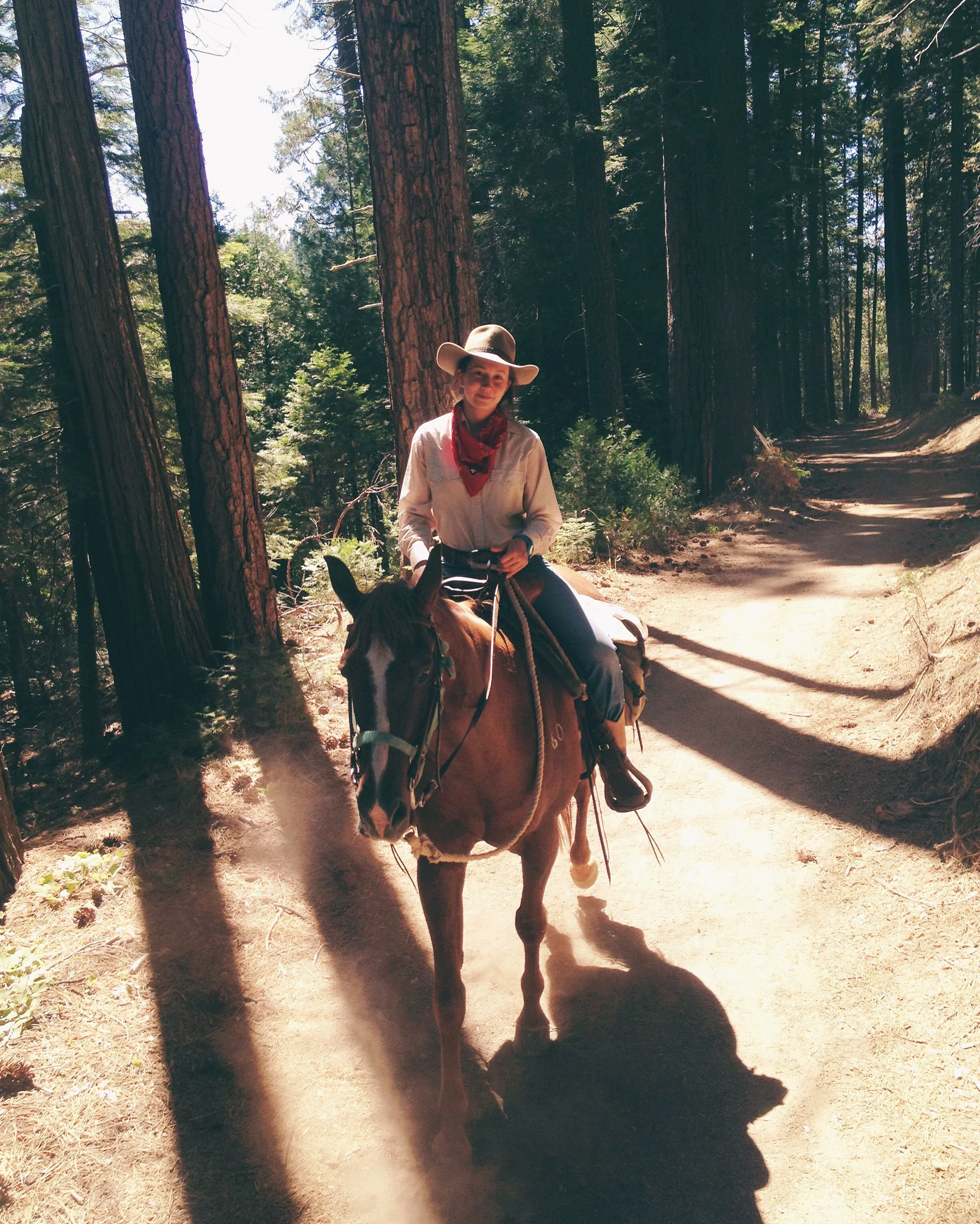 Guiding a Tour in Wawona, 2012