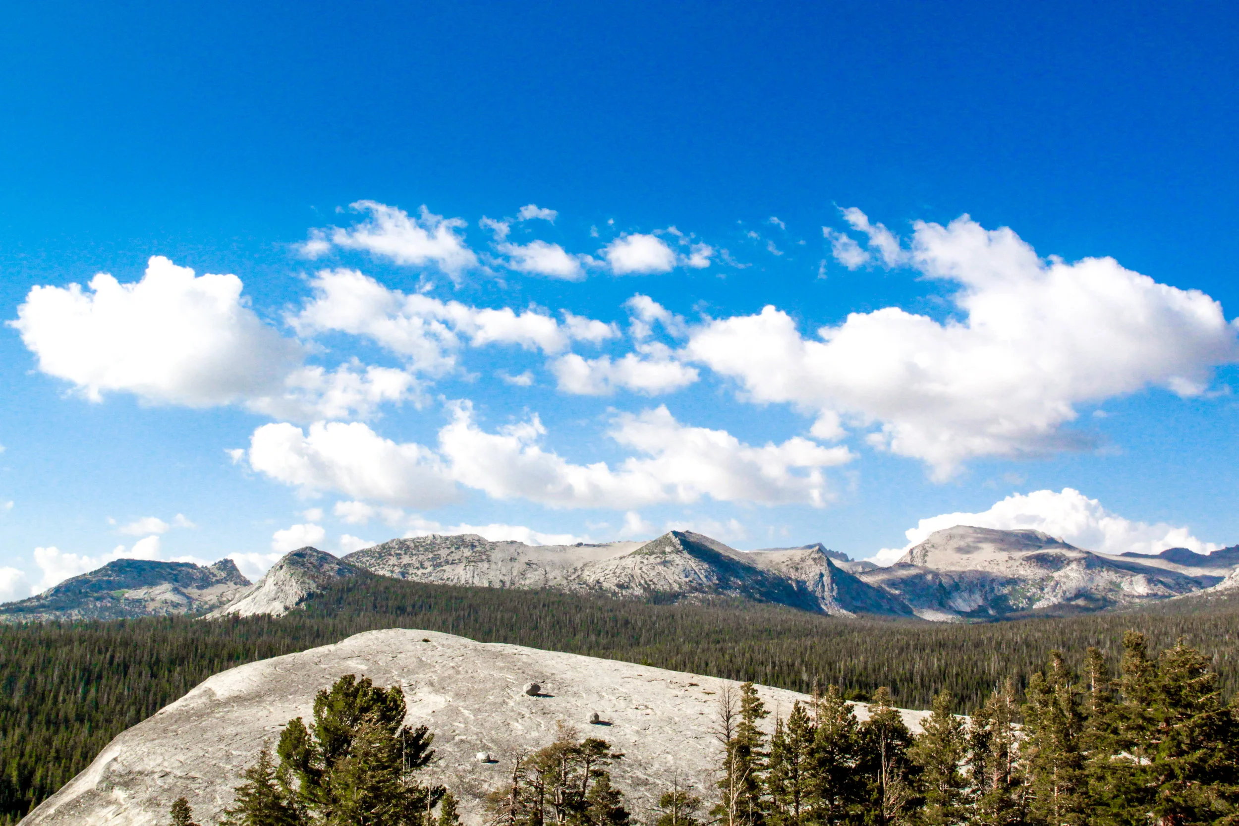 View of Tuolumne Meadows from Lembert Dome, 2012