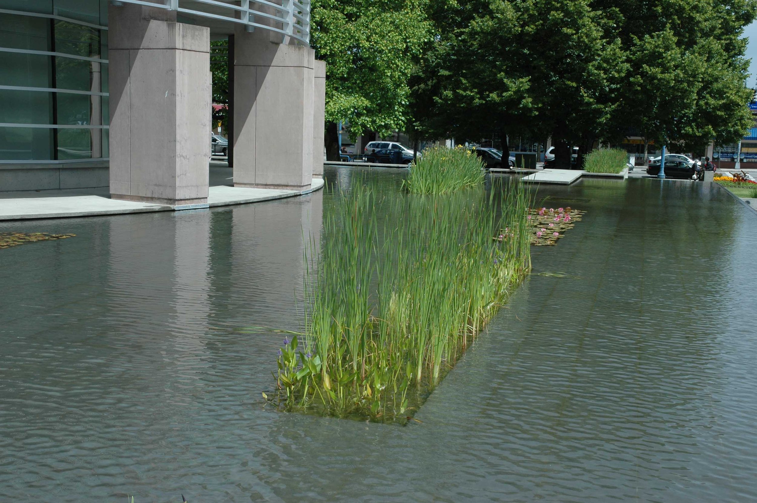 Richmond cityhall- waterplant.jpg