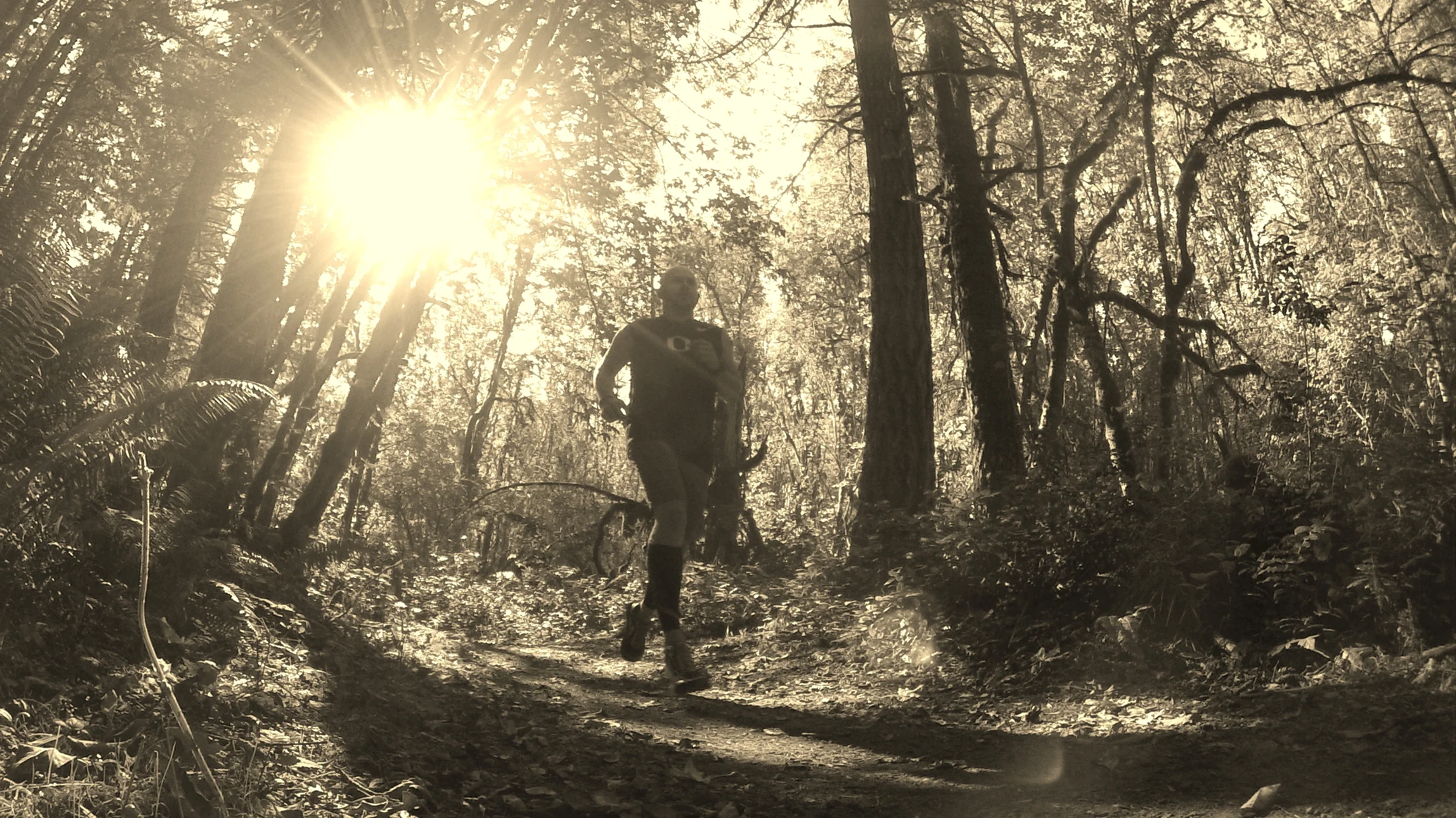 I Just Keep Running