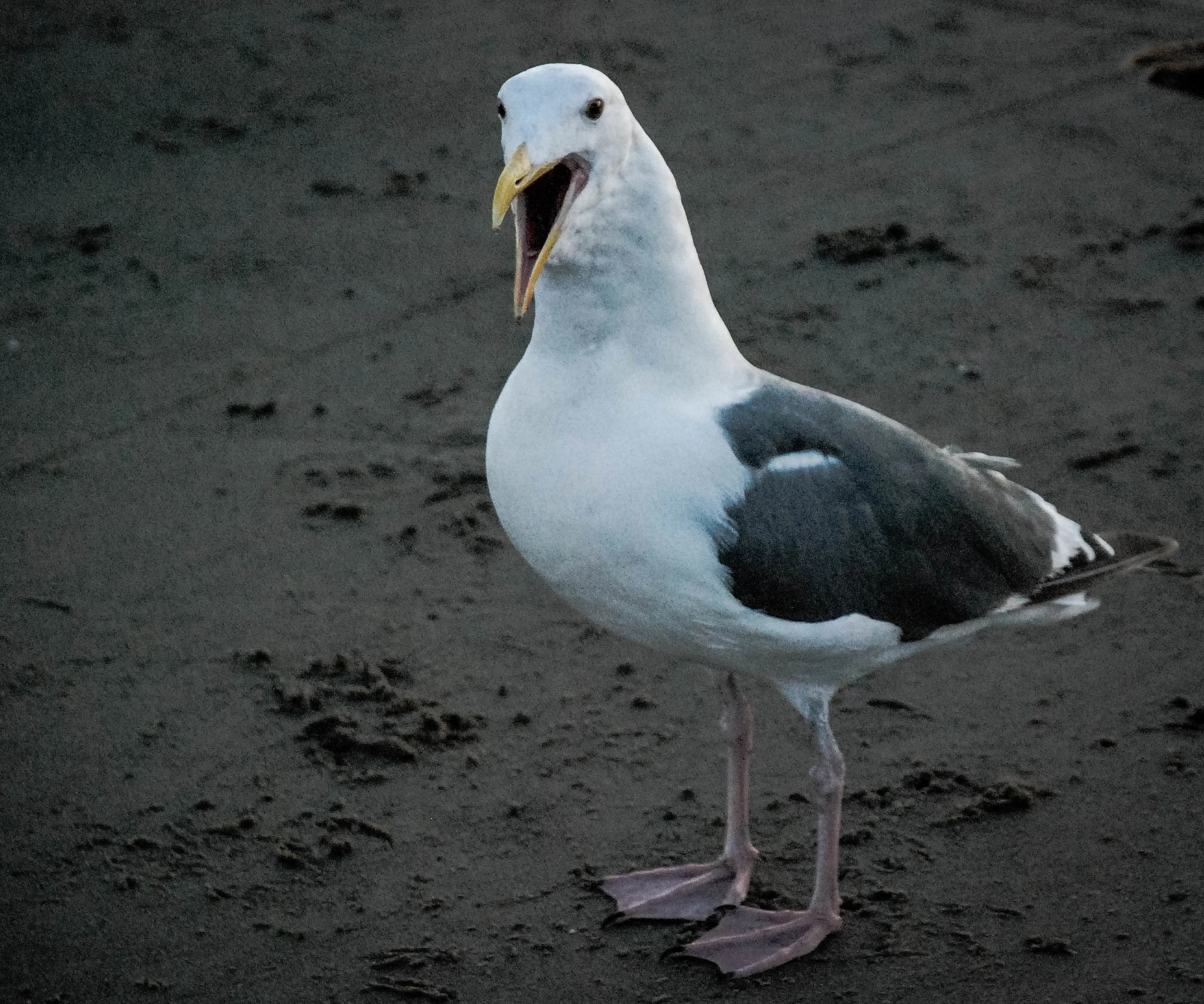 20120902-DSC_5564.jpg