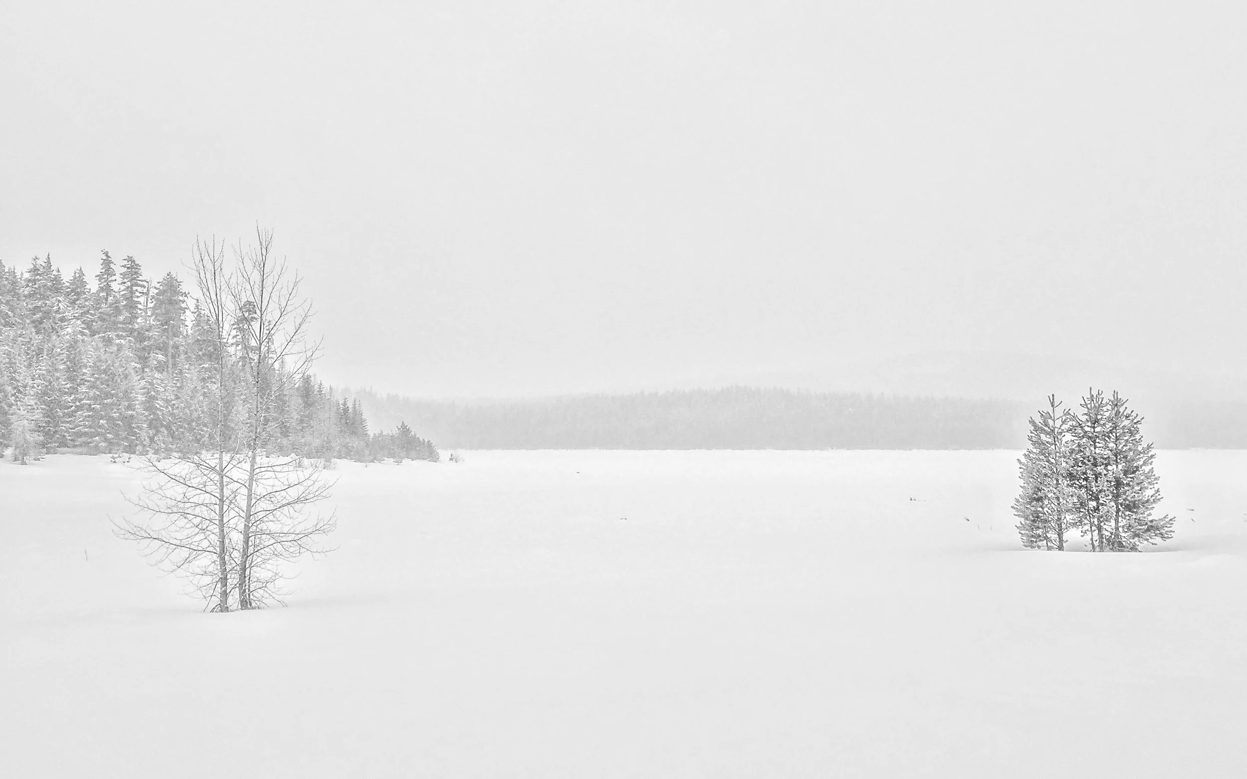 No Silence Like Snow Silence