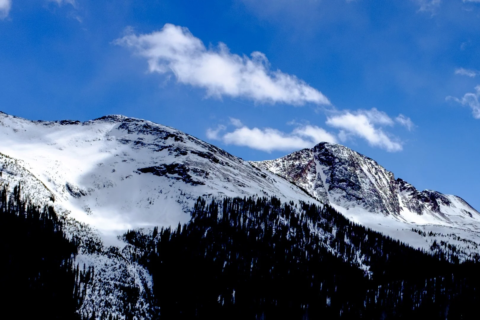 2A6A5BFE-76E6-450C-9A49-98153A0182F5 (Large).JPG