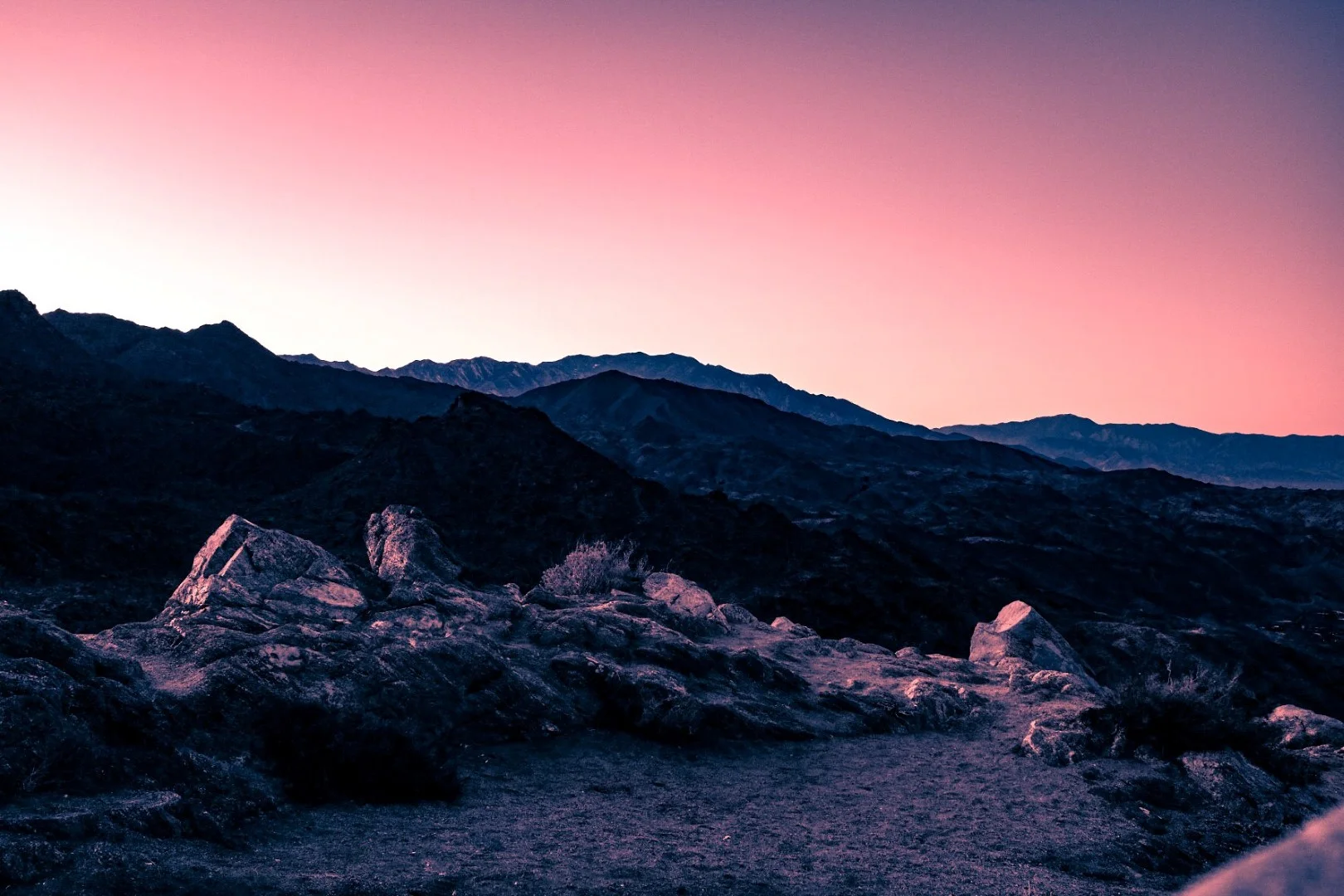 F71347D7-69FA-4EC4-9A69-E8825F95EBD6 (Large).JPG