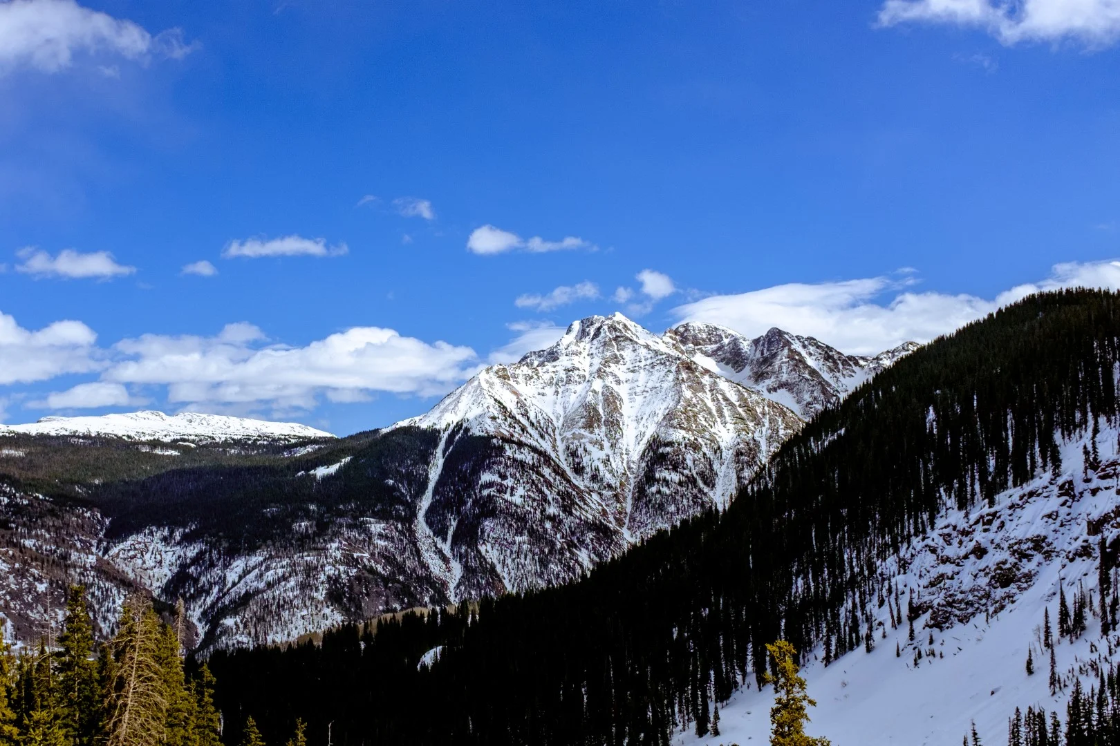 F7CDBD38-F91F-493B-B399-DA75FDD5D903 (Large).JPG