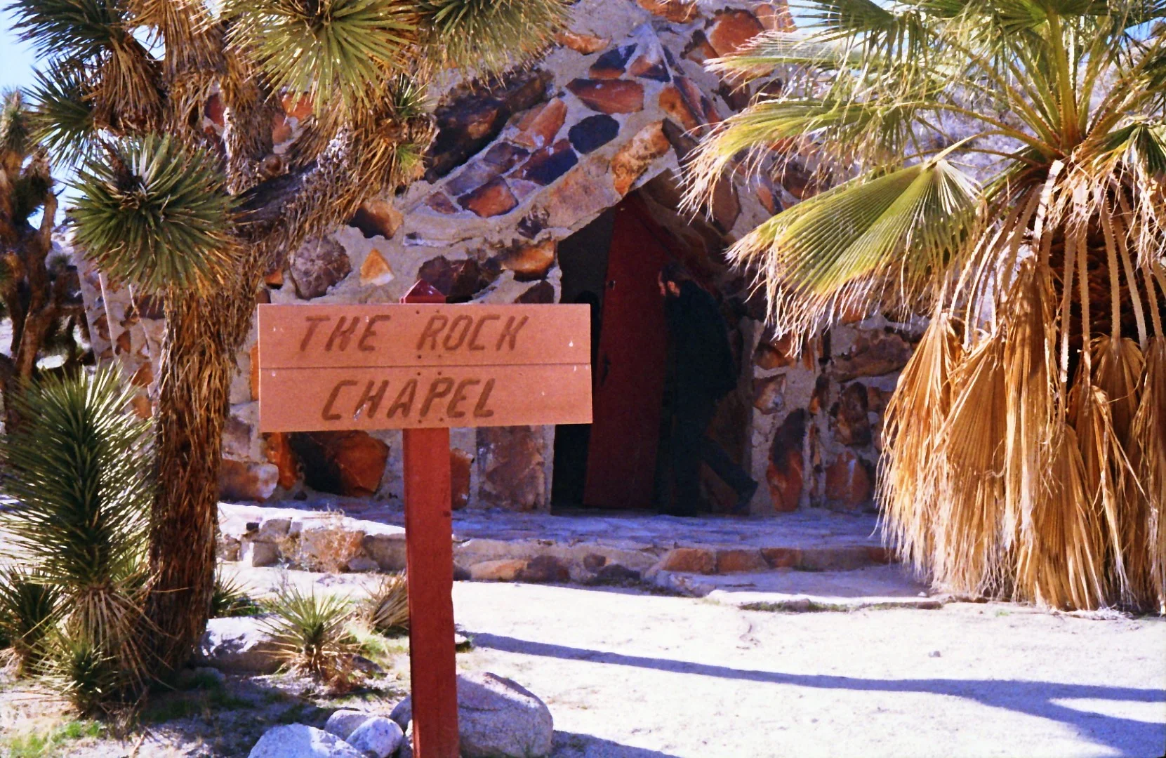 9BB4DB48-56AD-416C-B051-7CC41AE120AF (Large).JPG