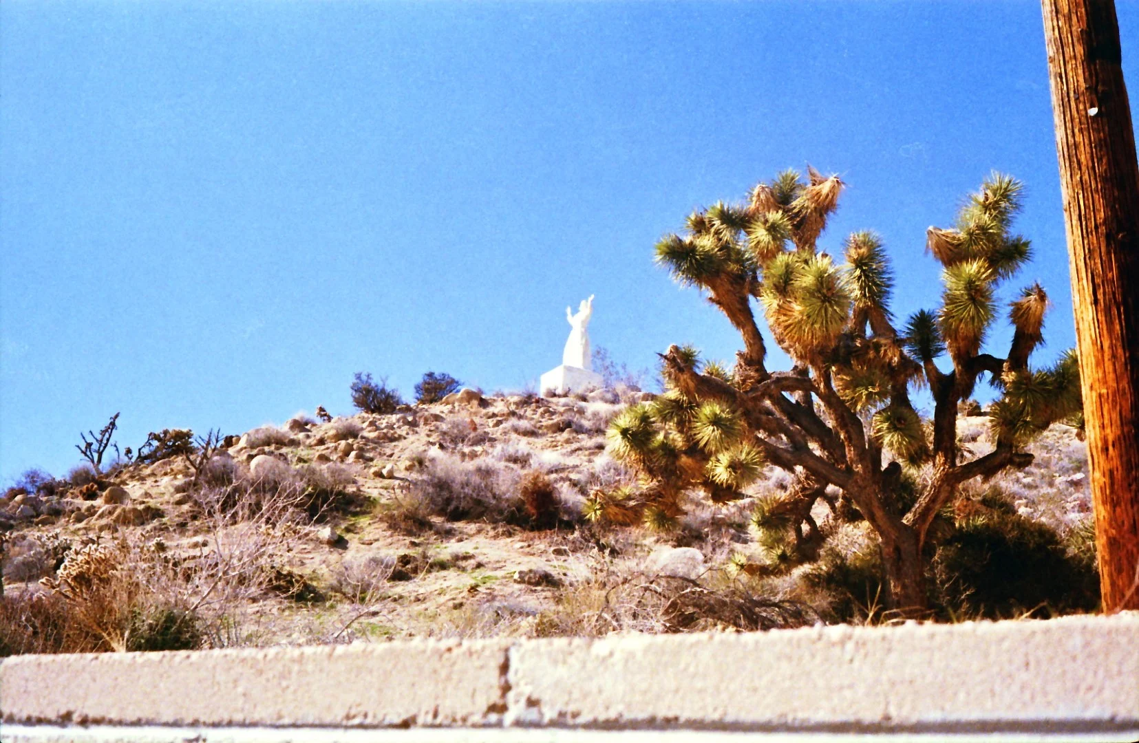 317F7CB2-9AE2-4F69-B5E7-F1507EC6F7A7 (Large).JPG