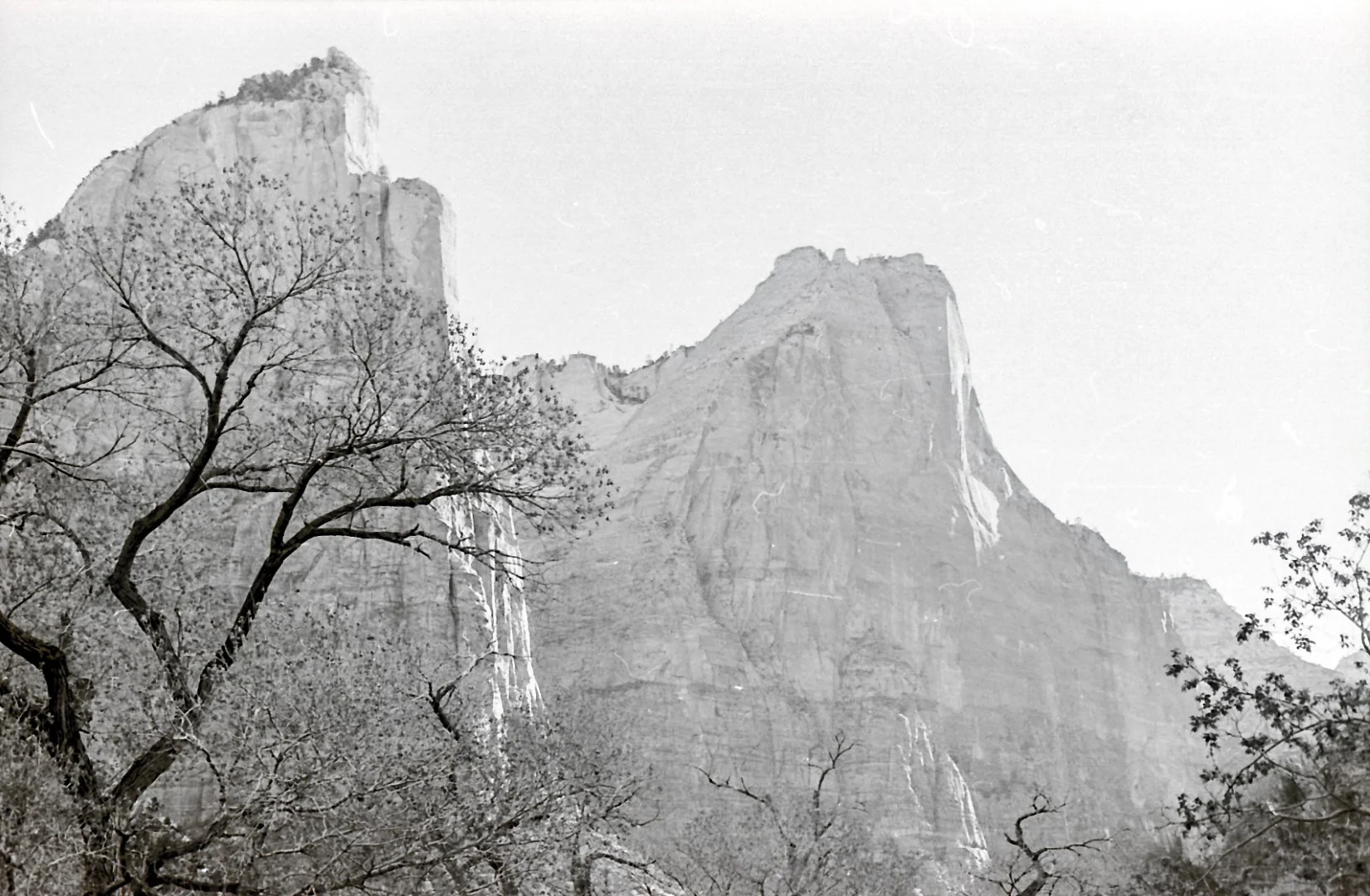 336E9374-A006-43B7-9CEC-3BCB12775902 (Large).JPG