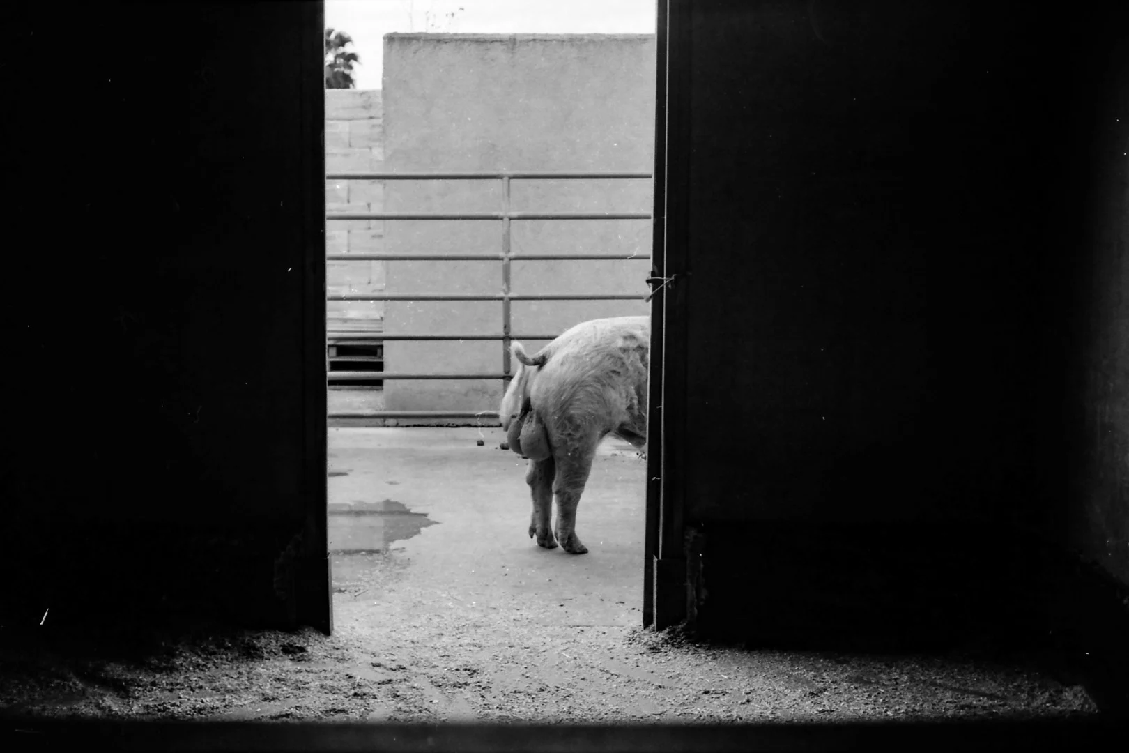 30EA7A82-578A-4C0F-A714-C926D9FEF27C (Large).JPG