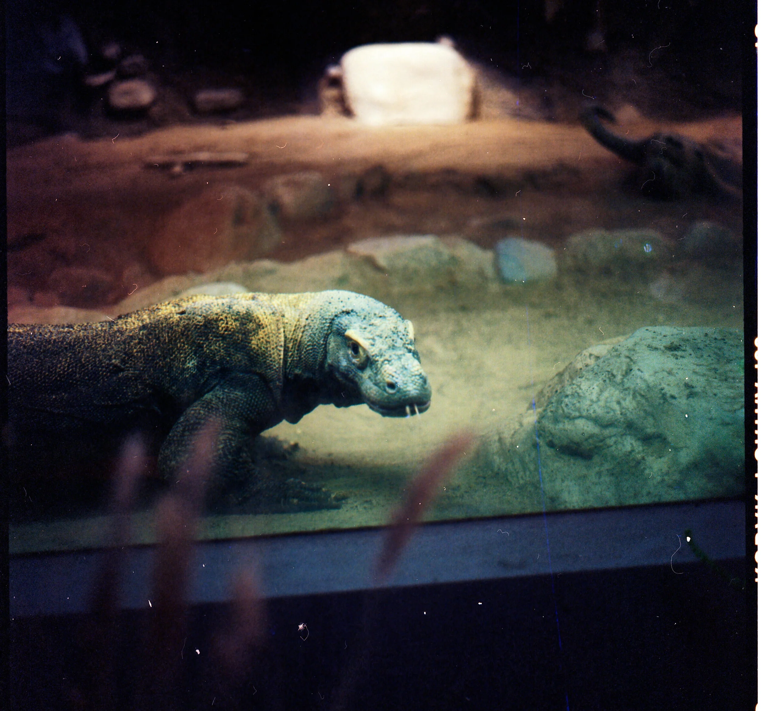 Image 1 19.jpg