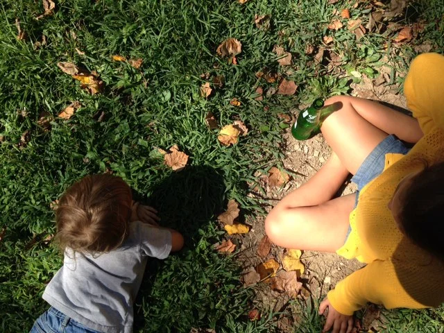 If you are a grown up, observing butterflies is only half the fun. It has been just as special watching little people spend hours patiently watching this real-life magic happening. 