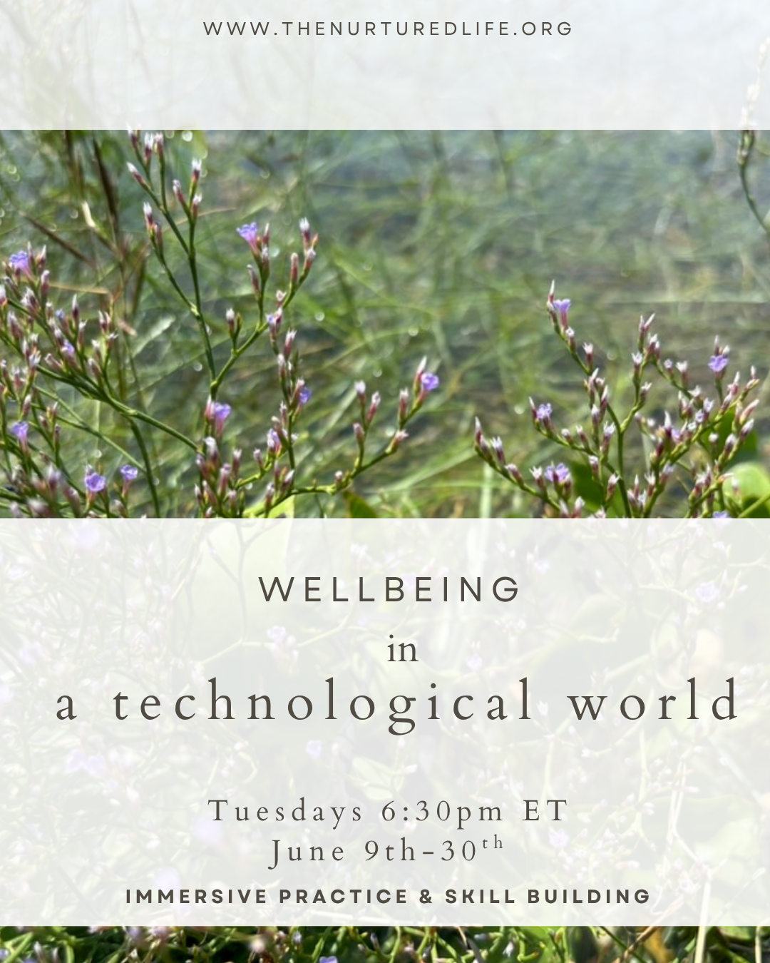 Wellbeing in a technological world post - 1.PNG