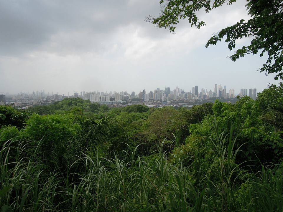 Parque Natural Metropolitano Panama