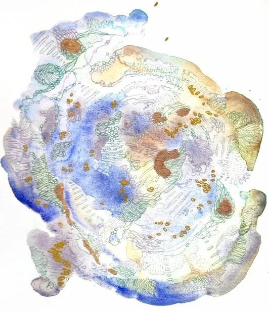 p6.jpg