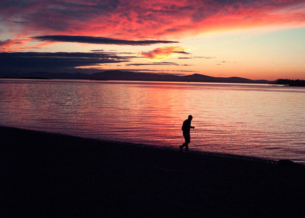 BEAR_SUNSET.jpg