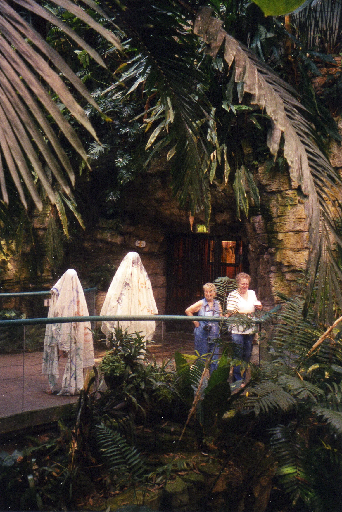 bio_jungle_observers_2.jpg
