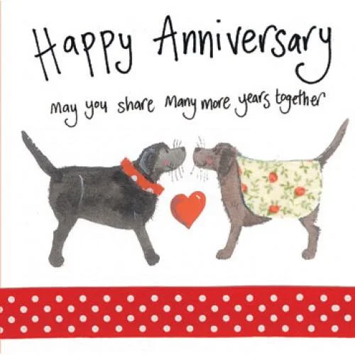 2-year anniversary Back on Track Veterinary Hospital.jpg