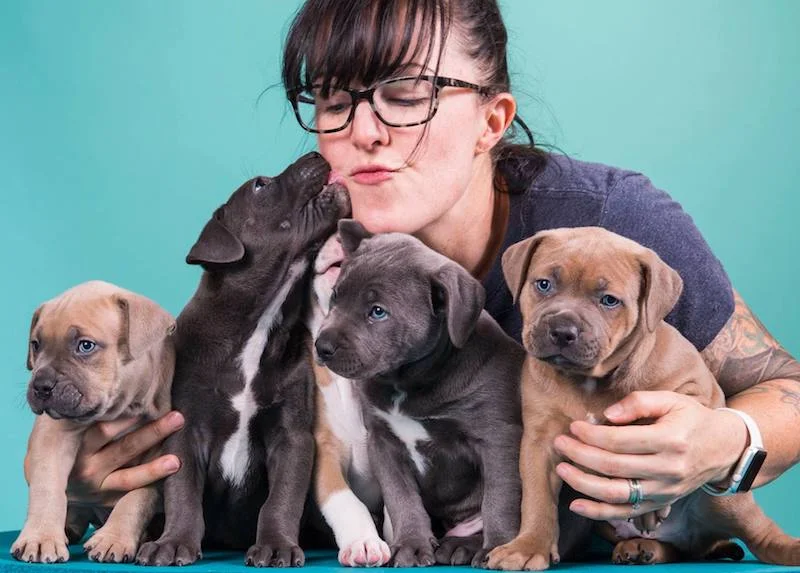 Alyson Snelling canine massage at Back on Track.jpg